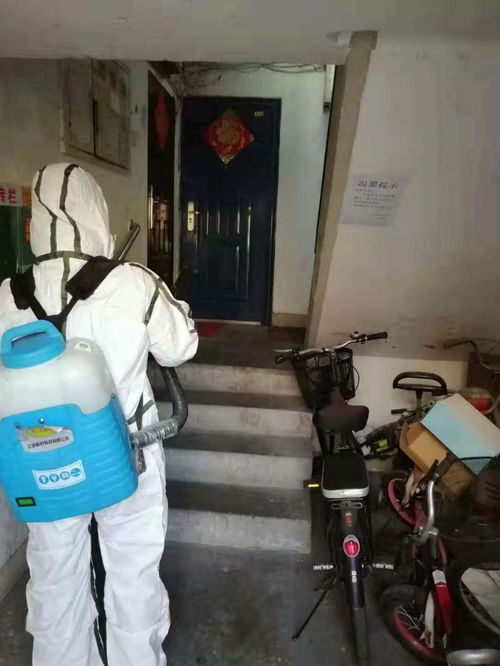 深圳室内消毒灭菌服务 专业守护家居、校园与商业空间的健康环境